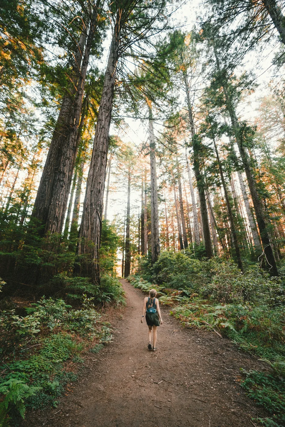 Relaxed outdoor walking as part of everyday movement and an active lifestyle